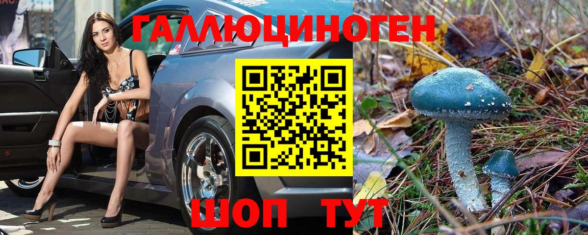 как найти закладки  Вход с VPN  Галлюциногенные грибы мухоморы  Киселёвск  Псилоцибиновые грибы Magic Shrooms 