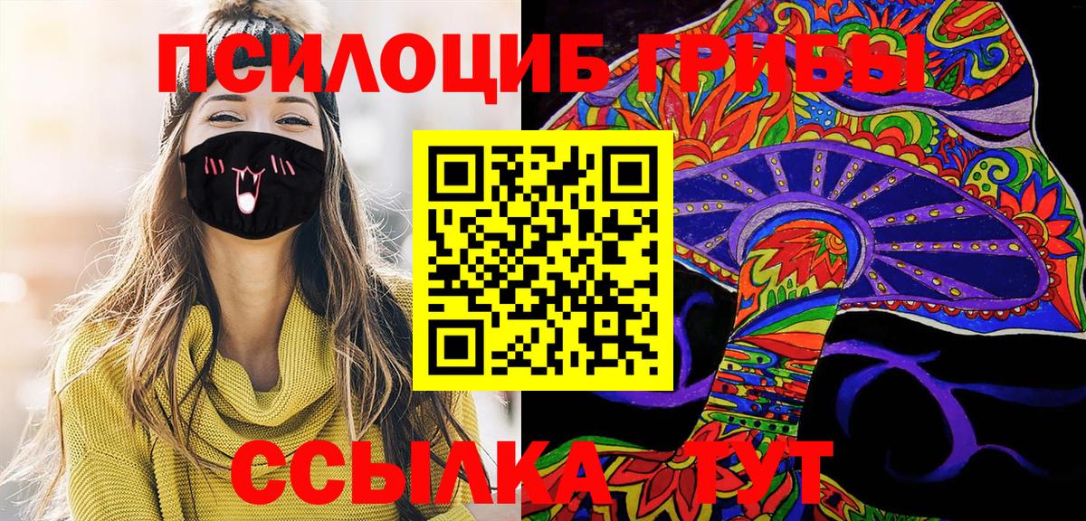 Псилоцибиновые грибы мухоморы Киселёвск